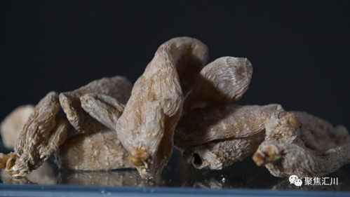 匯川 婁山天麻 亮相阿聯(lián)酋迪拜