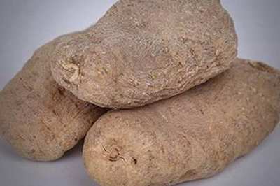 天麻的食用方法 8