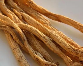 即墨古城年味濃 趕年集購隴南天麻，賞白馬人歌舞迎新春